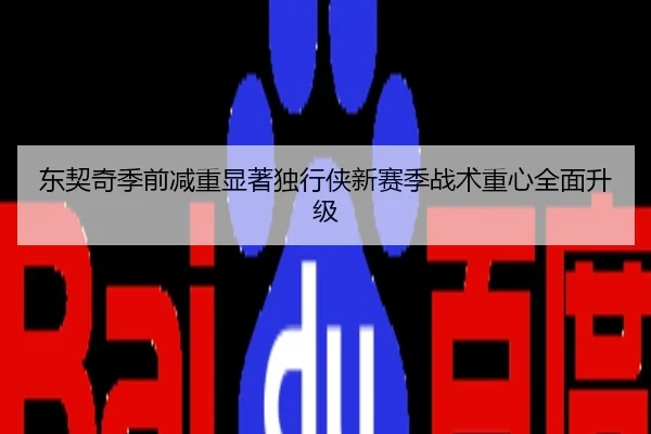 东契奇季前减重显著独行侠新赛季战术重心全面升级