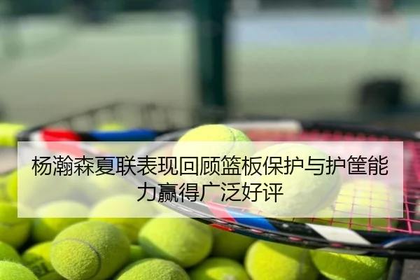 杨瀚森夏联表现回顾篮板保护与护筐能力赢得广泛好评